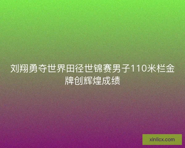 刘翔勇夺世界田径世锦赛男子110米栏金牌创辉煌成绩